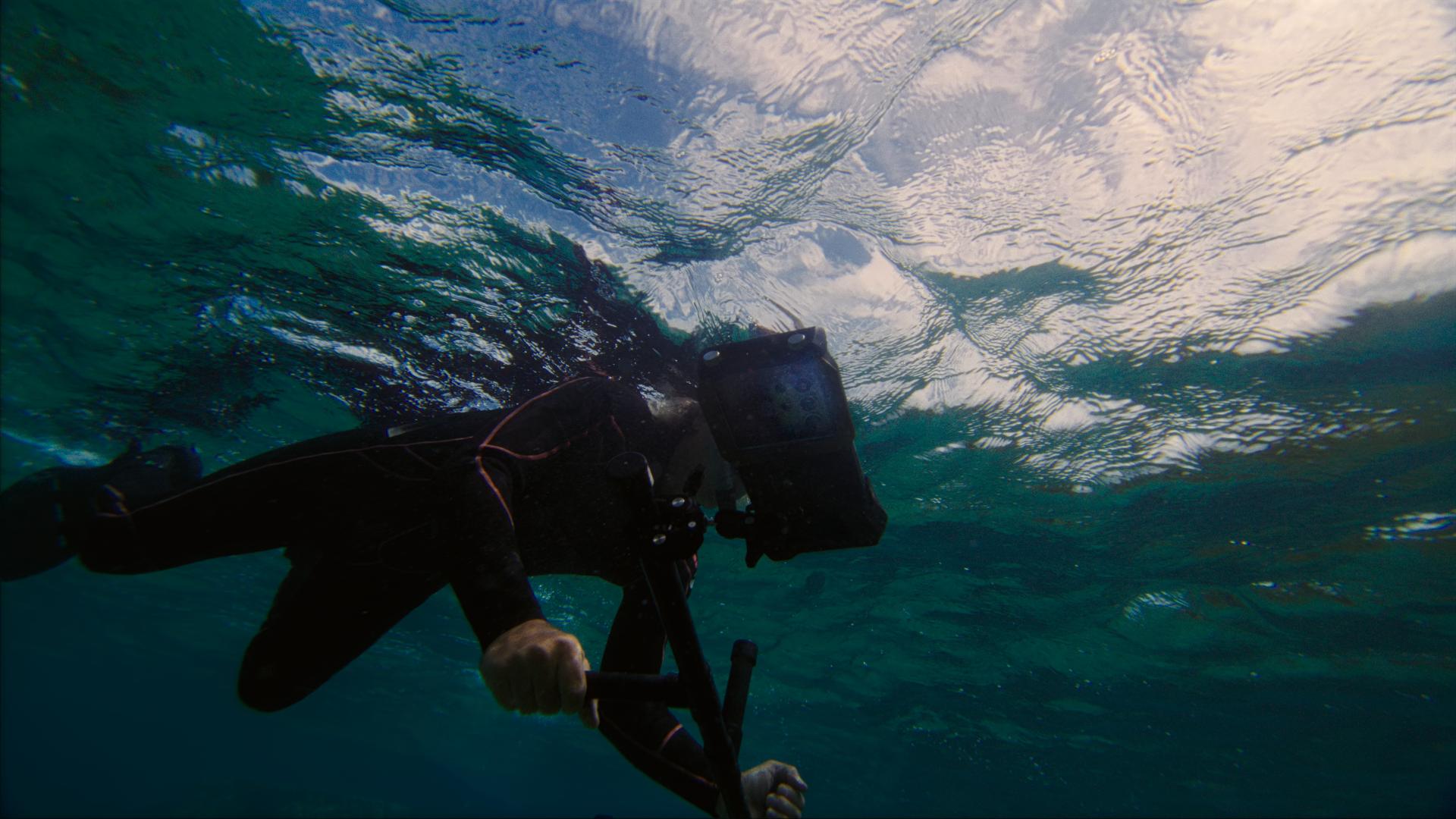 samsung-seatrees-underwater