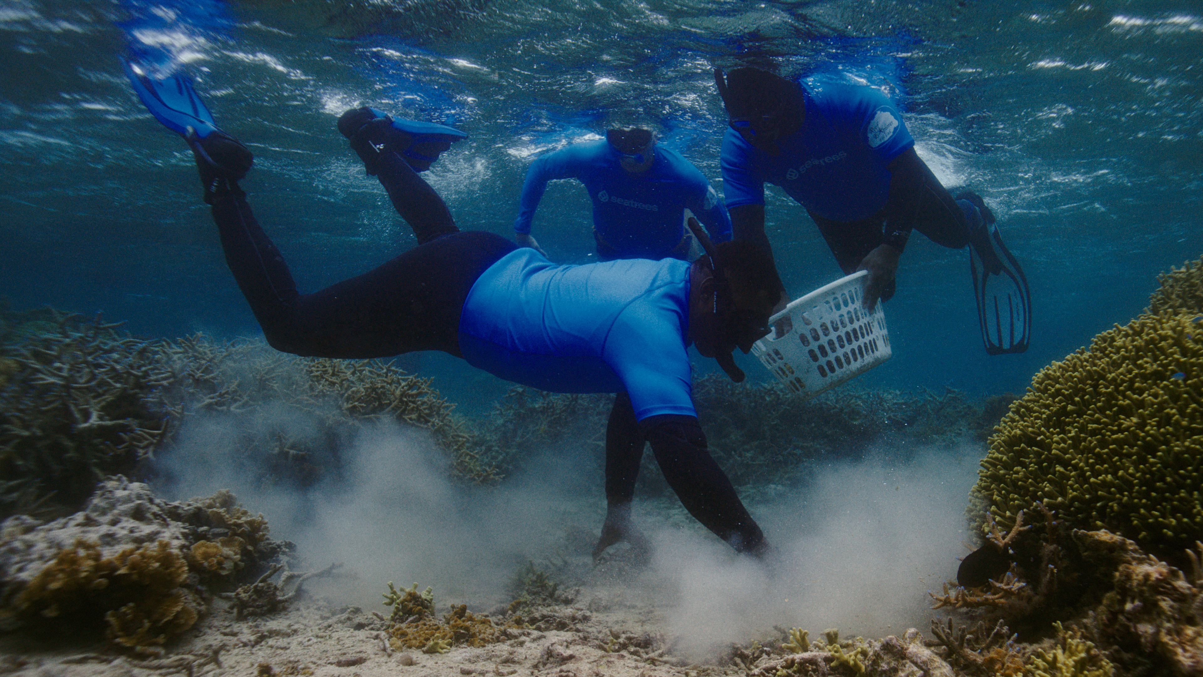 samsung-seatrees-coral-reefs